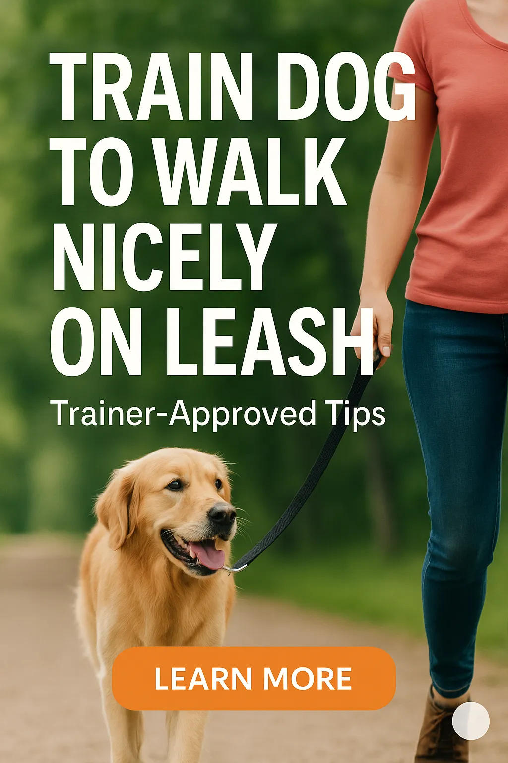 Train Dog to Walk Nicely on Leash