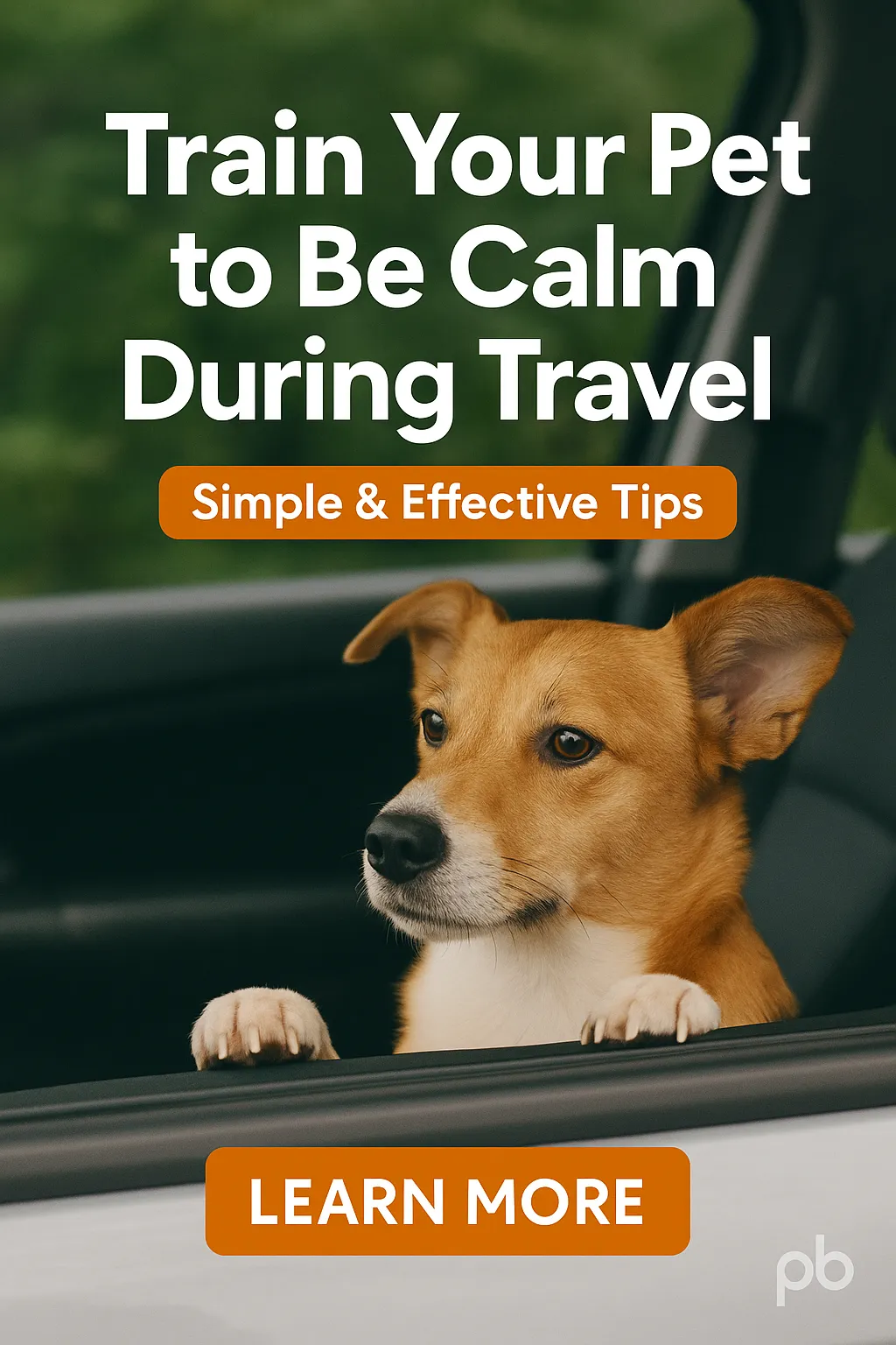 Train Your Pet to Be Calm During Travel