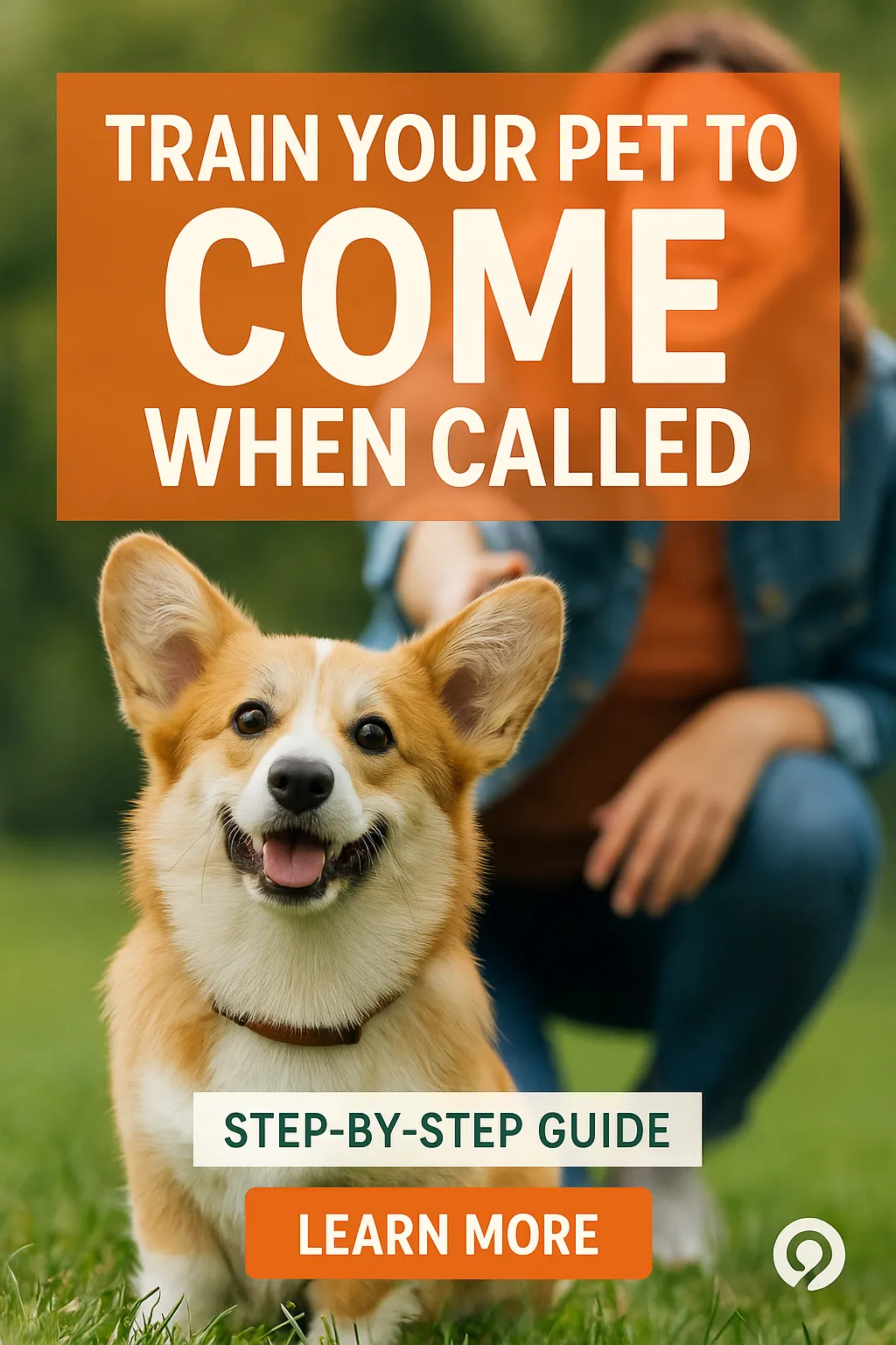 Train Your Pet to Come When Called