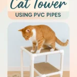 Build a Cat Tower Using PVC Pipes