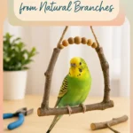 DIY Bird Swing from Natural Branches