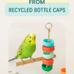 DIY Bird Toy from Recycled Bottle Caps