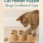 DIY Cat Feeder Puzzle Using Cardboard Cups