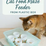 DIY Cat Food Maze Feeder from Plastic Box