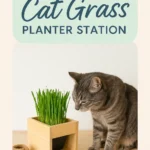 DIY Cat Grass Planter Station