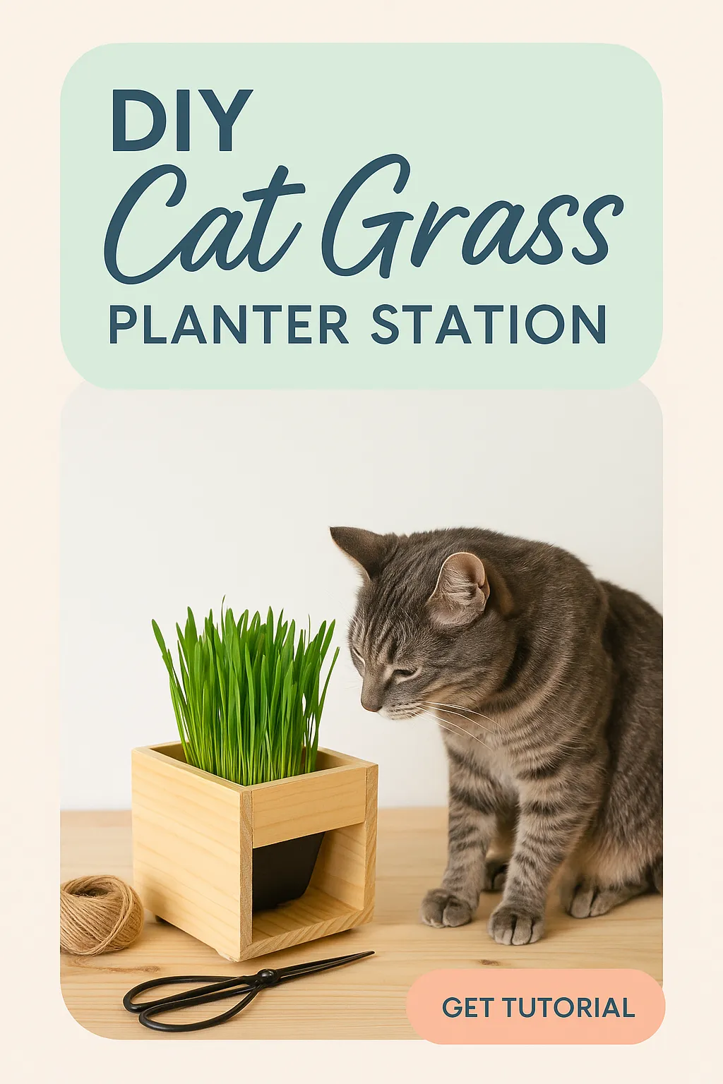 DIY Cat Grass Planter Station