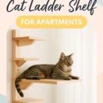 DIY Cat Ladder Shelf for Apartments