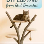 DIY Cat Tree from Real Branches