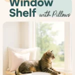DIY Cat Window Shelf with Pillows