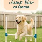 DIY Dog Agility Jump Bar at Home