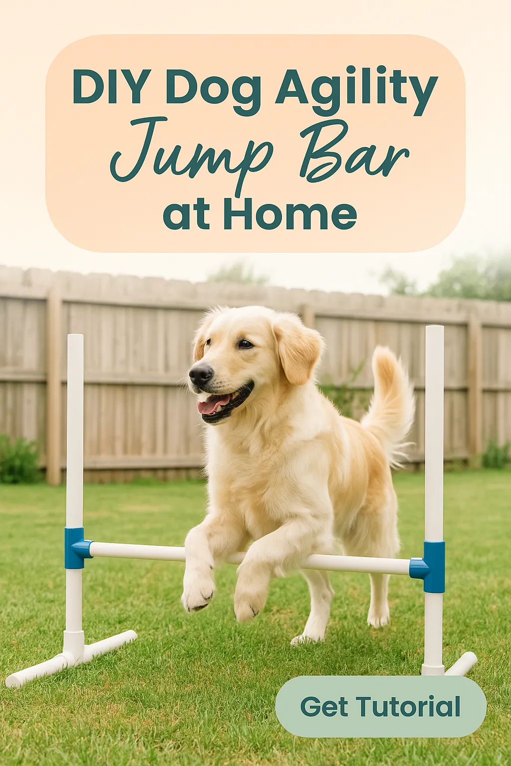 DIY Dog Agility Jump Bar at Home
