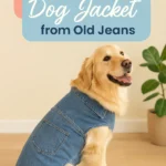 DIY Dog Jacket from Old Jeans