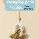 DIY Hanging Bird Feeder from Teacup