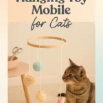 DIY Hanging Toy Mobile for Cats