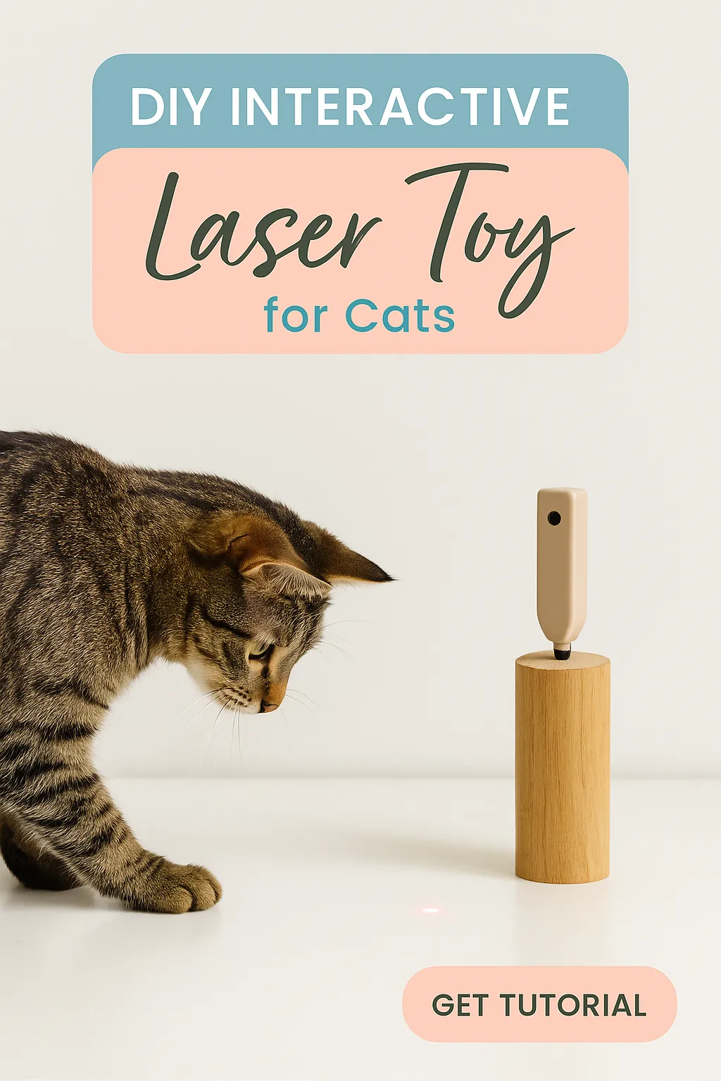 DIY Interactive Laser Toy for Cats