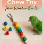 DIY Parrot Chew Toy from Wooden Beads
