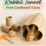 DIY Rabbit Tunnel from Cardboard Tubes
