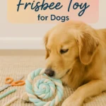 DIY Rope Frisbee Toy for Dogs