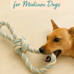 DIY Rope Tug Toy for Medium Dogs