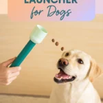 DIY Treat Launcher for Dogs