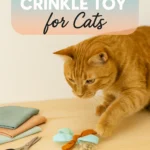 Homemade Crinkle Toy for Cats