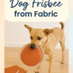 Homemade Dog Frisbee from Fabric