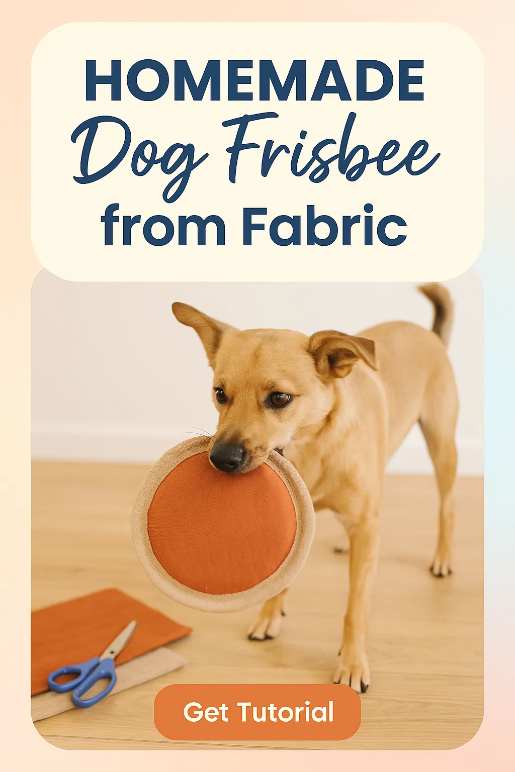 Homemade Dog Frisbee from Fabric
