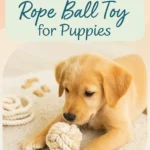 Homemade Rope Ball Toy for Puppies