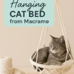 Make a Hanging Cat Bed from Macrame