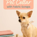 Make a Pet Collar with Fabric Scraps