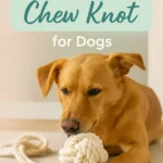 Make a Rope Chew Knot for Dogs