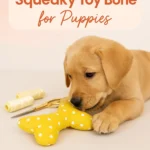 Make a Squeaky Toy Bone for Puppies
